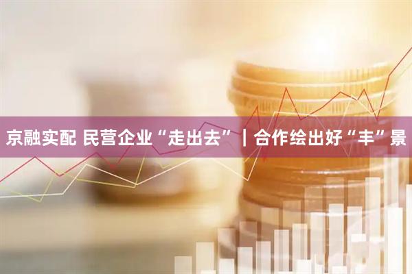 京融实配 民营企业“走出去”｜合作绘出好“丰”景
