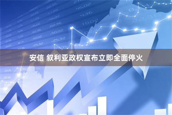 安信 叙利亚政权宣布立即全面停火