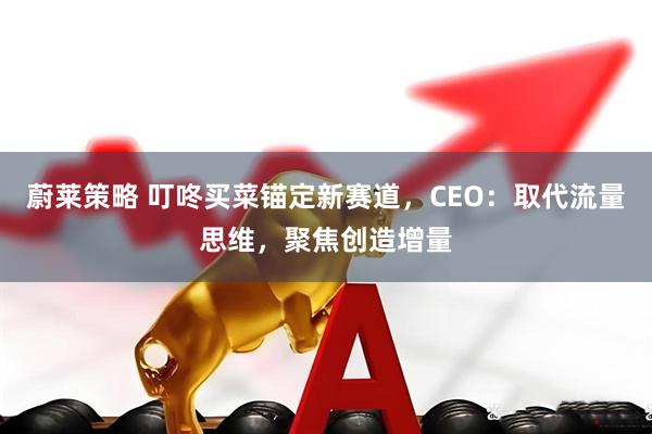蔚莱策略 叮咚买菜锚定新赛道，CEO：取代流量思维，聚焦创造增量