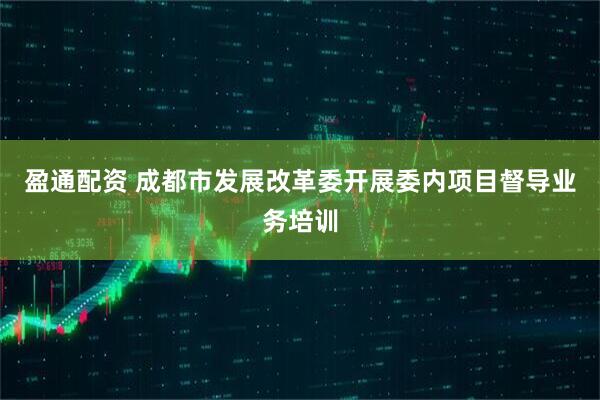 盈通配资 成都市发展改革委开展委内项目督导业务培训