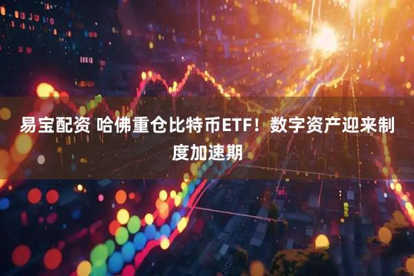 易宝配资 哈佛重仓比特币ETF！数字资产迎来制度加速期