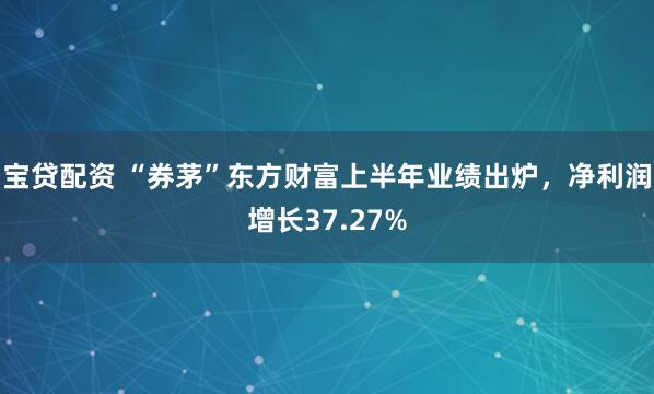宝贷配资 “券茅”东方财富上半年业绩出炉，净利润增长37.27%